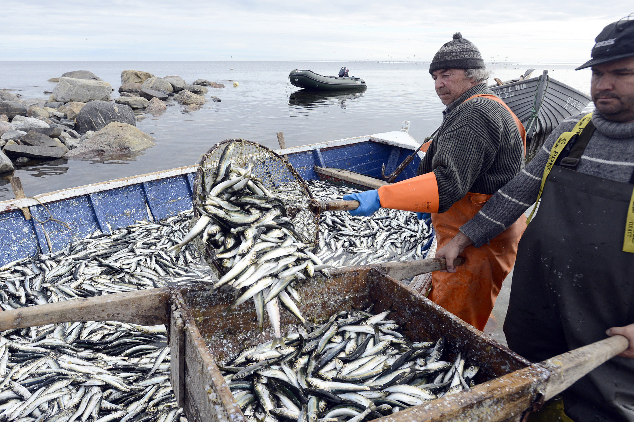 Конкурс на право заключения договора пользования рыболовным участком для осуществления промышленного рыболовства на реке Северная Двина в границах Архангельской области
